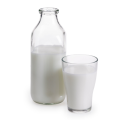 Milch - Lactose
